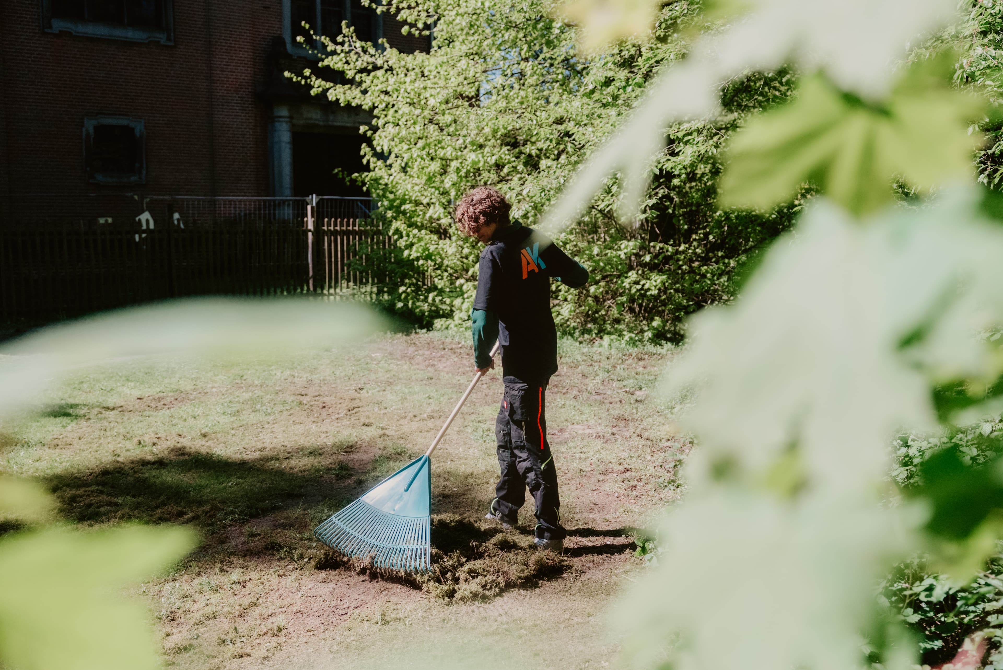Gartenpflege und Formschnitt in Berlin – koordinierte Umsetzung vor Ort